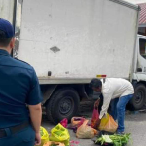 Warga Asing Makin Menjadi-Jadi Berniaga Sayur Secara Haram, Bila Kena Cekup Tunjuk Dokumen UNHCR untuk raih simpati