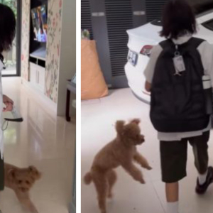 Anjing Melilit Di Kaki Noah Sinclair Dalam Rumah BCL Curi Perhatian