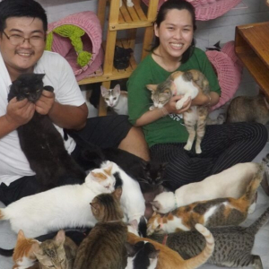 Rela Tangguh Kahwin Untuk Bina Rumah Perlindungan Kucing