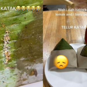 Dah Habis Makan Sebungkus Baru Perasan Ada Telur Katak Dalam Nasi Lemak Bungkus