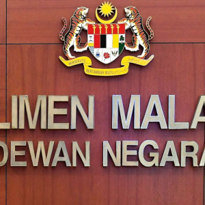 Tak Perlu Tambah Ahli Dewan Negara Ikut Gender