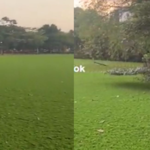 Tular Video Tasik Kelana Jaya Penuh Dengan Kiambang, Ramai Risau Takut Budak Terjatuh Sebab Nampak Macam Padang