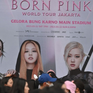 Rumput Stadium Gelora Bung Karno Rosak Disebabkan Konsert Blackpink