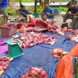 Penternak Muda Tumbang 10 Lembu, Jual Harga 'Rahmah' Sempena Hari Pertama Ramadan