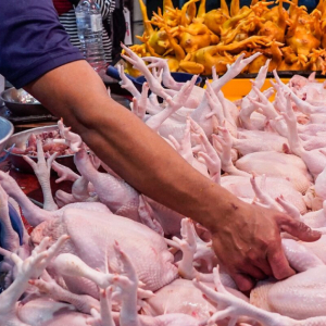 Purata Harga Ayam Standard Naik RM10.33 Sekilogram