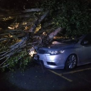 Mangsa Halang Bomba Alih Pokok Timpa Kereta Sebab Nak Buat Tuntutan MBSA