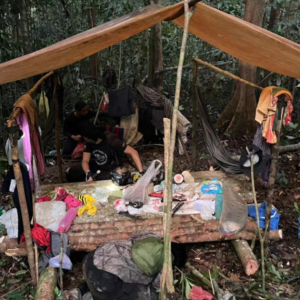 'Toyol Rimba' Kemboja Curi Khazanah Hutan Negara