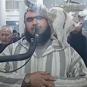 Imam Tenang Kucing Kacau Bagi Bont*t Di Muka Ketika Solat Tarawih