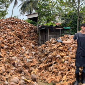 Tiga Hari Tak Mandi Tak Cukup Tidur Nak Siapkan Santan Segar 100 Kg, Bila Nak Jual Semua Basi!