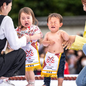 Jepun Cari Juara Sumo Bayi Menangis