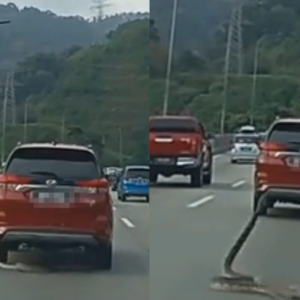 Penguna Jalan Raya Ketakutan Nampak Ular Sawa Terjatuh Dari Kereta Aruz