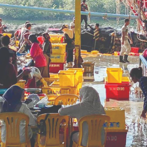 Harga Naik Melampau- Dulu Beli Ikan Kembung RM6 Sekilogram, Kini RM14