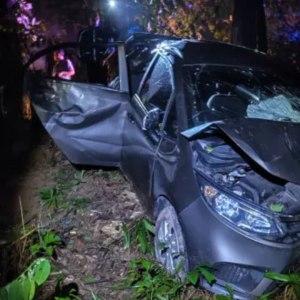 3 Sekawan Nyaris Maut Masuk Gaung Elak Anjing