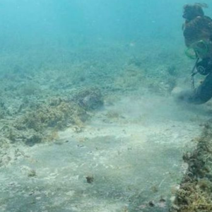 Penemuan Kubur, Hospital Di Dasar Laut, Mungkin Tapak Rawat Pesakit Demam Kuning