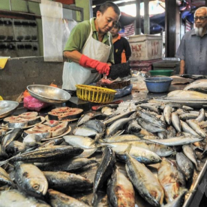 KPDN Akui Harga Ikan Naik