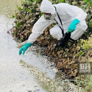 Pencemaran Bau Dari Parit Bersebelahan Kilang Di Kempas