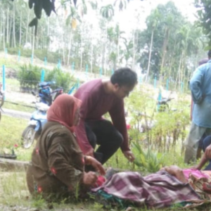 Warga Emas Ditemukan Meninggal Dunia Dalam Kebun