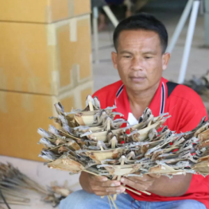 Orang Kampung Buat Duit Jual Cicak Tokek, Sebulan Dapat RM13 Ribu