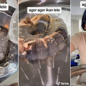 Yang Tengah Makan Jangan Tengok Video Ni! Gadis Buat Agar-Agar Keli Siap Bagi Rate 7/10