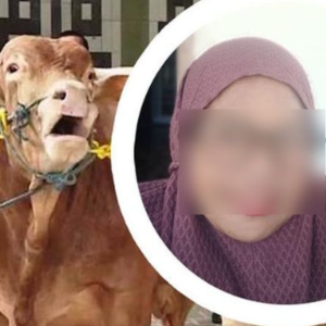 Wanita Sindir Jiran Di Media Sosial, Mampu Korbankan Lembu Tapi Kedekut Beri Pinjam Wang