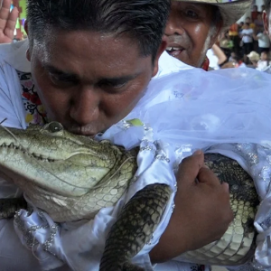 Datuk Bandar Berkahwin Dengan Buaya, Teruskan Tradisi Nenek Moyang