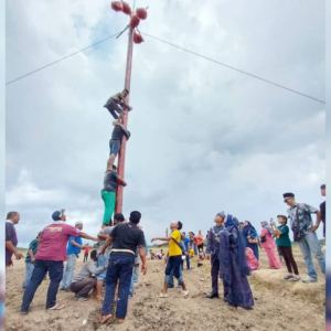 Pengantin Hidupkan Tradisi Orang Sungai Manik, Panjat Tiang Licin Meriahkan Perkahwinan