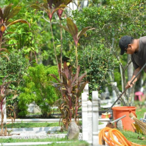 Songlap Duit Pencen, Tak Bahagi Harta Ikut Faraid! Makcik Menderita Sakit Misteri, Anak Saudara Saran Kembalikan Hak Waris Teraniaya