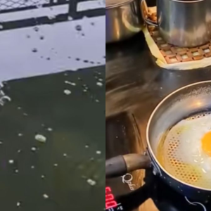 Lelaki Makan Telur Buaya Peliharaan, Elak Menetas