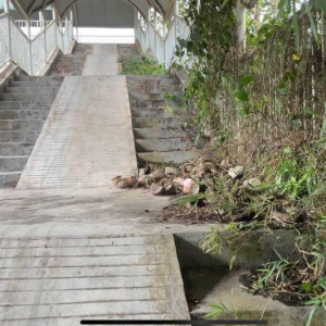 Bunyi Wanita Menjerit, Kelibat Dua Beranak Jalan-Jalan- Ada Yang Tak Kena Dengan Jejantas Di Johor Selepas Jam 12 Tengah Malam