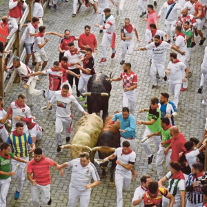 Kemeriahan Acara Larian Lembu Jantan, 6 Cedera