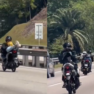 Minah Rempit In Action! Tempah Maut, Wanita-Wanita Bertudung Cilok, Meniarap Buat Aksi Superwomen Atas Highway