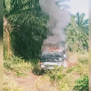 2 Pekebun Bakar Lori Sebab Marah Sawit Dicuri