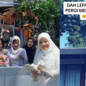 A. Aida Menyesal Lepaskan 50 Ekor Merpati, Kawasan Resort Kini Dipenuhi Tahi Burung