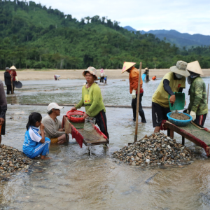 Penduduk Mendulang Emas Selepas Tasik Hidroelektrik Kering