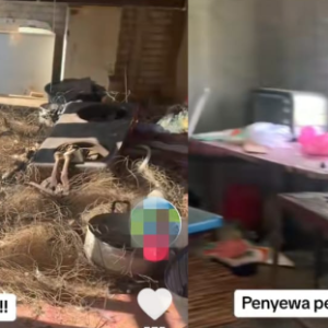 Beri Sewa Kepada Penyewa Miskin, RM50 Je Sebulan- Wanita Bengang Tengok Rumah Jijik, Penuh Tahi Ayam Dan Kucing