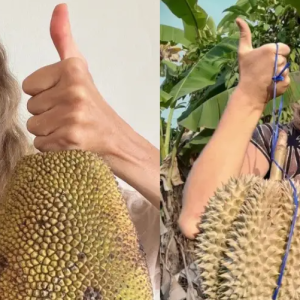 7 Tahun Hanya Makan Durian Dan Nangka, Influencer Mati Sebab Kebuluran Di Malaysia