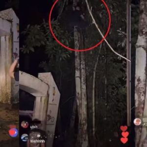 Sibuk Mencari Hantu Dengan Kawan-Kawan, Pemuda Disampuk Semangat Mawas Panjat Pokok