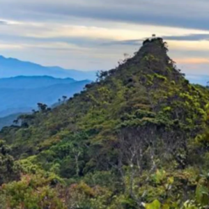 Gunung Singsing Puncak Ketiga Tertinggi Di Malaysia