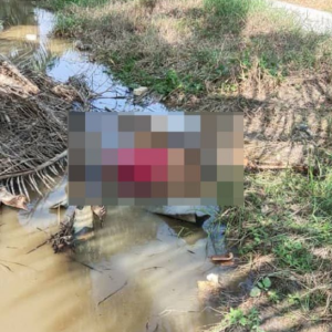 Remaja Lelaki Bawah Umur Bunuh Kawan Sebab Kacau Teman Wanita, Buang Mayat Dalam Parit Ladang Kelapa Sawit Rungkup