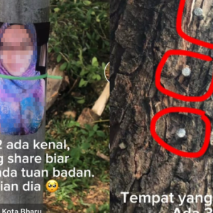 Dahi, Lutut Dan Dada, Gambar Wanita Bertudung Dipaku Di Pokok, "Mungkin Disihir, Siapa Kenal Tolong Kongsi Biar Sampai Kepada Tuan Badan"