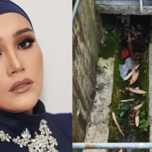 Pembantu Peribadi Jumpa Ular Depan Rumah, Azharina Fikir Positif