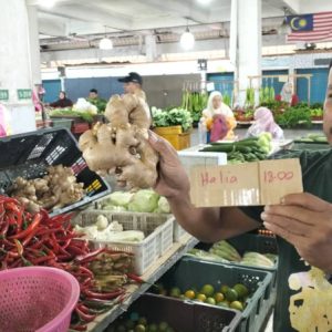 Penduduk Kedah Merungut- Sudahlah Beras Tempatan Tiada, Harga Sayur-Sayuran Naik Mencanak