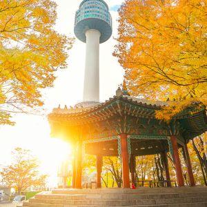 10 Lokasi Paling Instagramable Di Seoul, Korea