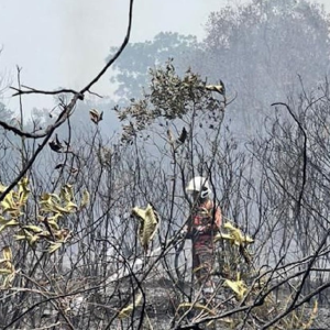 6 Jam Padam Kebakaran 4 Hektar Hutan