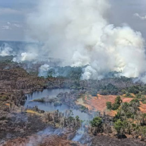 Sembilan Hektar Kawasan Belukar Masih Terbakar