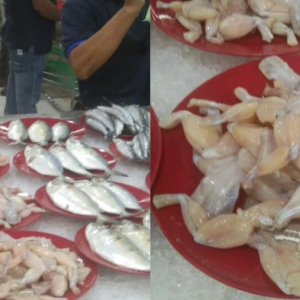 NSK Mohon Maaf Pamer Daging Katak Sebelah Ayam, Ikan’