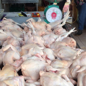 Tiada Lagi Subsidi Ayam Bermula Rabu Ini