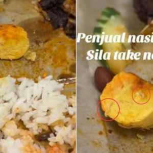 Dah Makan Separuh Nasi Lemak Baru Perasan, Ada Ulat Bergerak-Gerak Dalam Telur Kuning