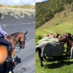 Intan Najuwa Dilayan Macam Puteri, Suami Buat Kejutan Hantar 2 Buah Trak Kuda Di New Zealand