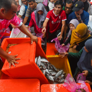 Berebut Beli Ikan Siakap 90 Sen Sekor